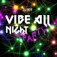 2020 Dj Roy Vibe All Night by dj roy belgium