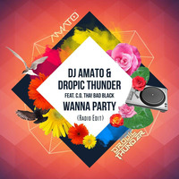 DJ Amato & Dropic Thunder feat. C.O Tha! Bad Black - Wanna Party (Preview) by DJ Amato
