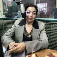 Ana Jorge - Vocal ISJ - Resultados de auditorias - Leyes especiales  by UNJu Radio 02
