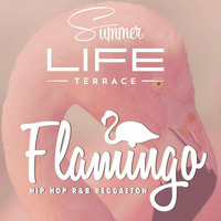 22/07/17 - Flamingo by Marco Olivari