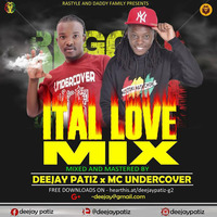 DJ PATIZ x MC UNDERCOVER  - ITAL LOVE MIX by deejaypatiz