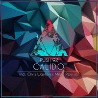 Push 92 - Calido (Chris Wayfarer Remix) by Chris Wayfarer / Wayfarer Audio