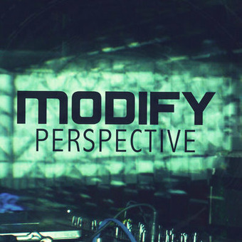 Modify Perspective