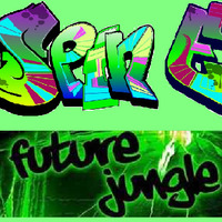 Future Jungle 140 breaks mix by DJ Spin-E