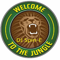100% Jungle 85% Vinyl!!!! by DJ Spin-E