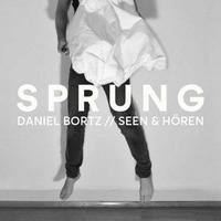 Sprung /w Daniel Bortz @Kantine KN 19.11.2016 by Seen&Hören