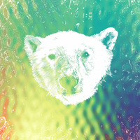 Summer 2016 - Afro Tropical Disco by Polar Bears Can Dance