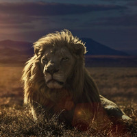 RAM vs McAuley vs Arctic Moon - Serengeti (The Lion King) (ChrisStation Full Legend Intro Edit Mix) by Chris Station