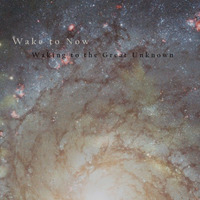 Becoming The Universe (See Description for Video) by Wake to Now