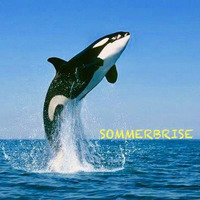 Sommerbrise.mp3 by Ohrganic