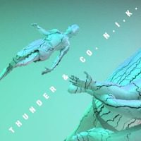 Thunder &amp; Co. - N.I.K. (MisterJ DubMix) by Mister J