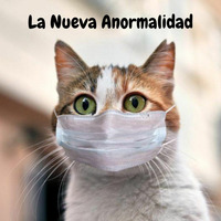 Child Prodigy - La Nueva Anormalidad Vol. 2 by Arturo Bravo