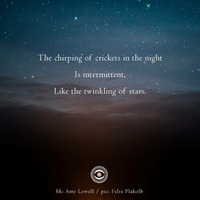 Scott Lawlor - Like the twinkling of stars (Naviarhaiku 161) by Naviar Records