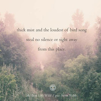 Jesús Lastra - Where Feet Fall Softly (naviarhaiku180) by Naviar Records