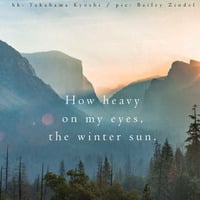 Scott Lawlor - the winter sun (naviarhaiku214) by Naviar Records