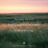 Wilhelm Matthies-My Soul Is The Wind-(naviarhaiku254) by Naviar Records