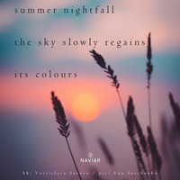 WHΛLT THISИEY - Summer nightfall by WHΛLT THISИEY ( Naviarhaiku263 ) by Naviar Records