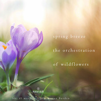 WHΛLT   THISИEY - spring breeze ( Naviarhaiku267 ) by Naviar Records