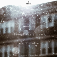 Fabio Keiner - haiku270 by Naviar Records