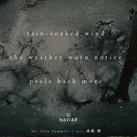 DzEta - RSw (naviarhaiku276) by Naviar Records