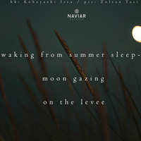 Fabio Keiner - haiku277 by Naviar Records