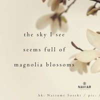 Scott Lawlor - Magnolia Sky (naviarhaiku282) by Naviar Records