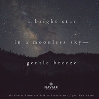 Scott Lawlor - A Bright Star (naviarhaiku 287) by Naviar Records