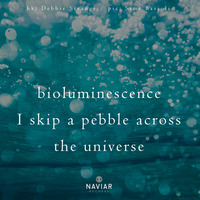 Scott Lawlor - bioluminescence(naviarhaiku289) by Naviar Records