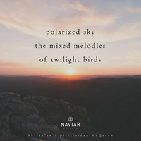 Scott Lawlor - Polarizing sky (naviarhaiku 290) by Naviar Records