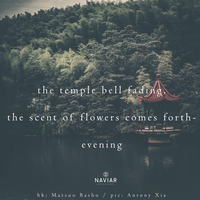 Scott Lawlor - the scent of flowers (naviarhaiku 292) by Naviar Records