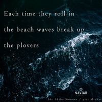 Scott Lawlor - Waves Roll in (Naviarhaiku 293) by Naviar Records