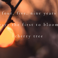 Andy Lyon - Cherry Tree (naviarhaiku300) by Naviar Records