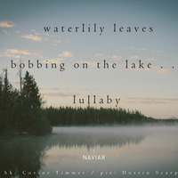 Scott Lawlor - waterlily leaves (naviarhaiku301) by Naviar Records