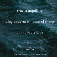 Whalt Thisney - Unknowable blue ( naviarhaiku 325 ) by Naviar Records