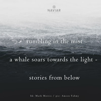 Whalt Thisney - Rumbling in the mist ( naviarhaiku326 ) by Naviar Records