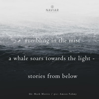 Scott Lawlor - Towards the Light (naviarhaiku326) by Naviar Records