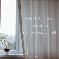 Whalt Thisney - A white feather fell (naviarhaiku330 ) by Naviar Records