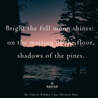 Walt Thisney - Shadows of the pines ( naviarhaiku334 ) by Naviar Records