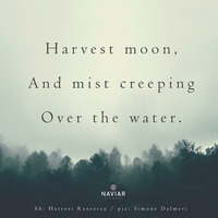 Scott Lawlor - Harvest moon (naviarhaiku338) by Naviar Records