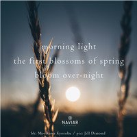 Scott Lawlor - Morning Light (Naviarhaiku 367) by Naviar Records