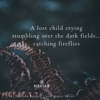 Scott Lawlor - Lost in a Dark Field With No Guidance From the Fireflies (Naviarhaiku 373) by Naviar Records