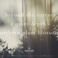 Scott Lawlor - Beyond the Northern Curtain (Naviarhaiku 381) by Naviar Records