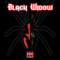 Black Widow by Heisle House Music