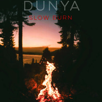 Slow Burn II by DUNYA