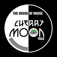 Cherry Moon Trax vs. Chris Liebing - The House Of House (Max Aristid Audio07a Rework | Dandu Groove) by Max Aristid