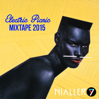 Electric Picnic 2015 mixtape by Nialler9