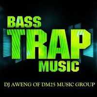 Bass Twerk ( Trap Remix ) - DJ Darwin Macalinao aka DJ Aweng of DM25 Music Group by DJ AWENG ( DM25 MUSIC GROUP ) AND VOLUME XXIII SL