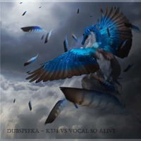 Dubspeeka - K374 vs Vocal So Alive- ( Kyke Carbonell Live Bootleg) by YUN MATE