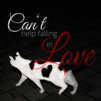 Can't Help Fallin In Love by Mario