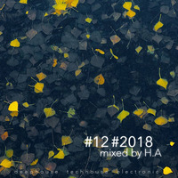 #12 #2018 H.A. by Hugo Alfaro